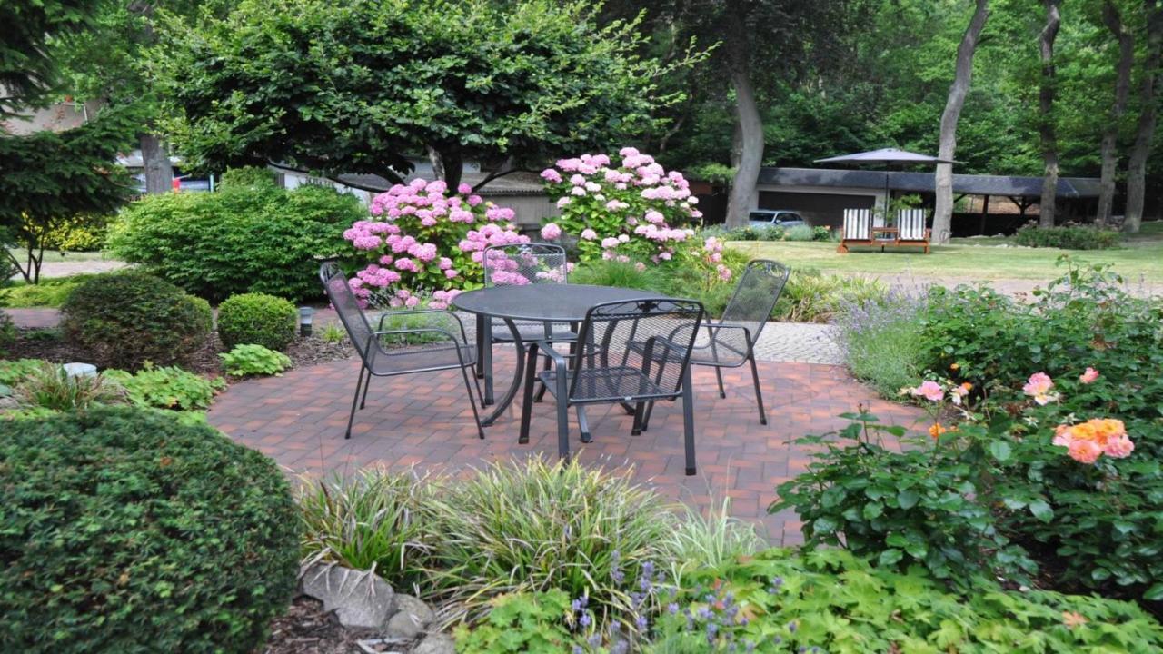 Apartament Wilkens